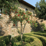 Castello il Palagio, il giardino all'italiana