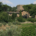 Castello il Palagio, veduta esterna