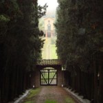 Castello il Palagio, viale di ingresso